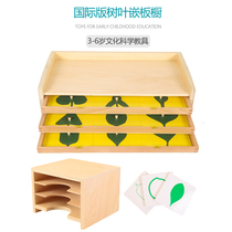 Montessori teaching aids kindergarten toys science and culture leaf panel cabinet three-layer card cabinet leaf card