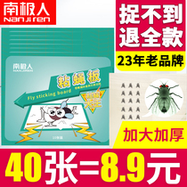 Antarctic people dip fly paper sticky fly board fly killer sticker trap Household powerful killing killing catching catching and flapping flies