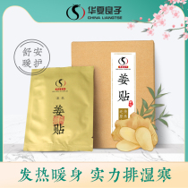 Huaxia Liangzi ginger paste Ginger paste Knee paste Joint paste Fever ginger moxibustion paste store