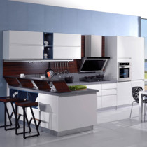 Gold Kitchen Cabinet Modern Simple Style Paint Series Aden