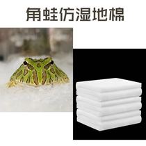 Horned frog Tree frog young frog pad material non-slip moisturizing foot pad moisturizing filter cotton