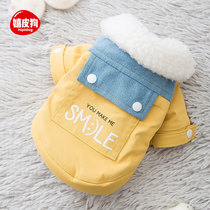 Teddy dog autumn and winter clothes medium small dog Bai bear pet winter thickened chenary winter clothes cotton clothes