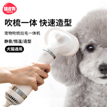 Pet hair dryer blow drying hair all in one machine dog dog blowing artifact bath cat low noise drying teddy exclusive