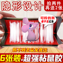 The sticky mouse board super strong adhesive big mouse paste home arresting rat artifact increases the thick lure