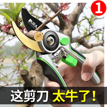  Ai Ruize gardening pruning scissors Fruit tree branches Garden branches floral scissors Pruning scissors Picking fruit artifact