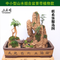Five Old Peaks Absorbent Stone Upper Water Stone False Mountain Bonsai Stone Fish Tank Built View Natural Raw Stone Micro Landscape High Gear Gift