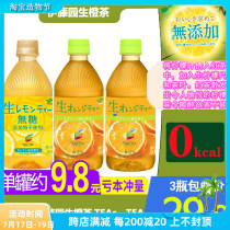 Spot Japanese native Itoen Sugar-free raw orange lemon tea 0 fat 0 calorie Fruit juice Black tea drink