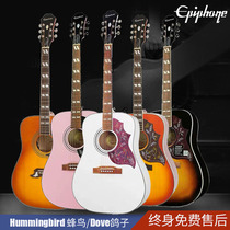 Epiphone Hummingbird Hummingbird pigeon border bat veneer electric box folk guitar