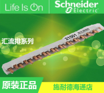 Schneider Bus 1P N bus DPN dual input dual output 12-bit loop connection copper row 21501
