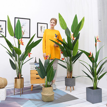 Nordic large simulation plant traveler banana auspicious bird landing living room interior decoration fake tree potted green plant ornaments