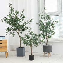 Simulation plant potted green plant bonsai ornaments Nordic decoration living room indoor large ins floor olive fake tree
