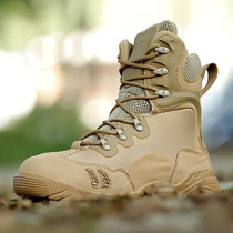 Autumn and winter outdoor ultra-light male special forces combat boots desert boots wear-resistant breathable training boots high-top mountaineering tactical boots