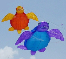 Kite pendant Turtle kite Custom software kite