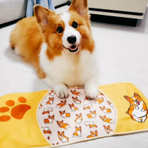 Taiwan Purrfect pet cat dog super soft instant suction towel wipe face wipe foot square towel