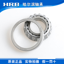 HRB Harbin bearing 30201 30202 30203 30204 30205 30206 30207 30208