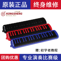 Hole Sound 37 Keyhole organ students Classroom beginners Adult practice playing boutique instruments to deliver blow tubes