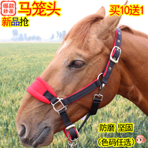 Bridle anti-wear Pull bridle full set of supplies Harness size dwarf Malone head 10 free 1 loss