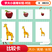 Size and short contrast card autism training aids language development retardation children rehabilitation learning toys