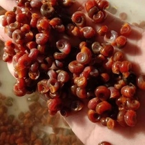 Apple screw gold screw dedrying artifact dog head color feed