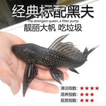Cleaning fish trash cleaner cleaning fish dump doveman large cleaning fish tank fecal tool fish