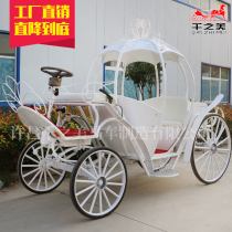 Electric Flower Crown Hard Top Princess Wagyu Carriage Sightseeing Tour Pumpkin Wagyu Wedding Dresses Wedding Wedding Wedding Wedding Celebration