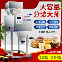 Automatic large capacity filling machine Granule powder rice grains Melon seeds washing powder Fertilizer quantitative filling machine