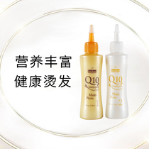 Multifunction scalding milk Korea Q10 quick perching root bronzed and damaged hot hair milk taste small