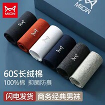 Cat Human Socks Mens Pure Cotton Middle Tube Socks Fall Black Breathable Male Socks Autumn Winter Full Cotton Deodorant sweat Long Sox Men
