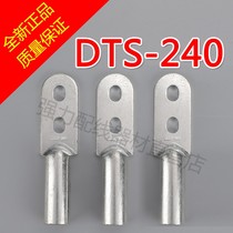 National standard double hole tinned copper nose DTS-240 copper wire lug copper wire copper terminal copper galvanized double hole copper terminal