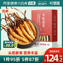 Cordyceps whole grass 5 1G Cordyceps dry nourishing non-Tibetan Cordyceps sinensis pot stew