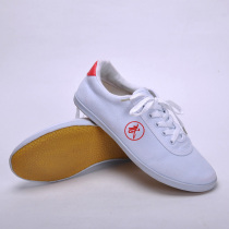 Double Star Canvas Tai Chi Shoes Beef Muscle Bottom Practice Shoes Martial Arts Shoes Tai Chi Shoes Wuji Tai Chi Clothing Men and Women
