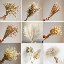 Surprised wind high-level dry flowers natural air-dried real flowers living room decoration homestay model room soft reed wheat