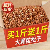 Open pine nuts large particles 500g hand-peeled Northeast specialty new big pine seeds pregnant women bulk dried fruit snacks whole box