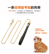 High-end Stainless Steel Racing Class Snake Chain Traction Rope Dog Chain Subcat Small Dog Pets Walking Dog Rope Neckline Teddy Kirky