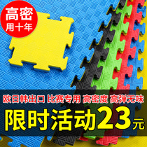 Professional Taekwondo mat Martial arts sanda dance mat 2 5 3 0 thickened foam special sports training mat
