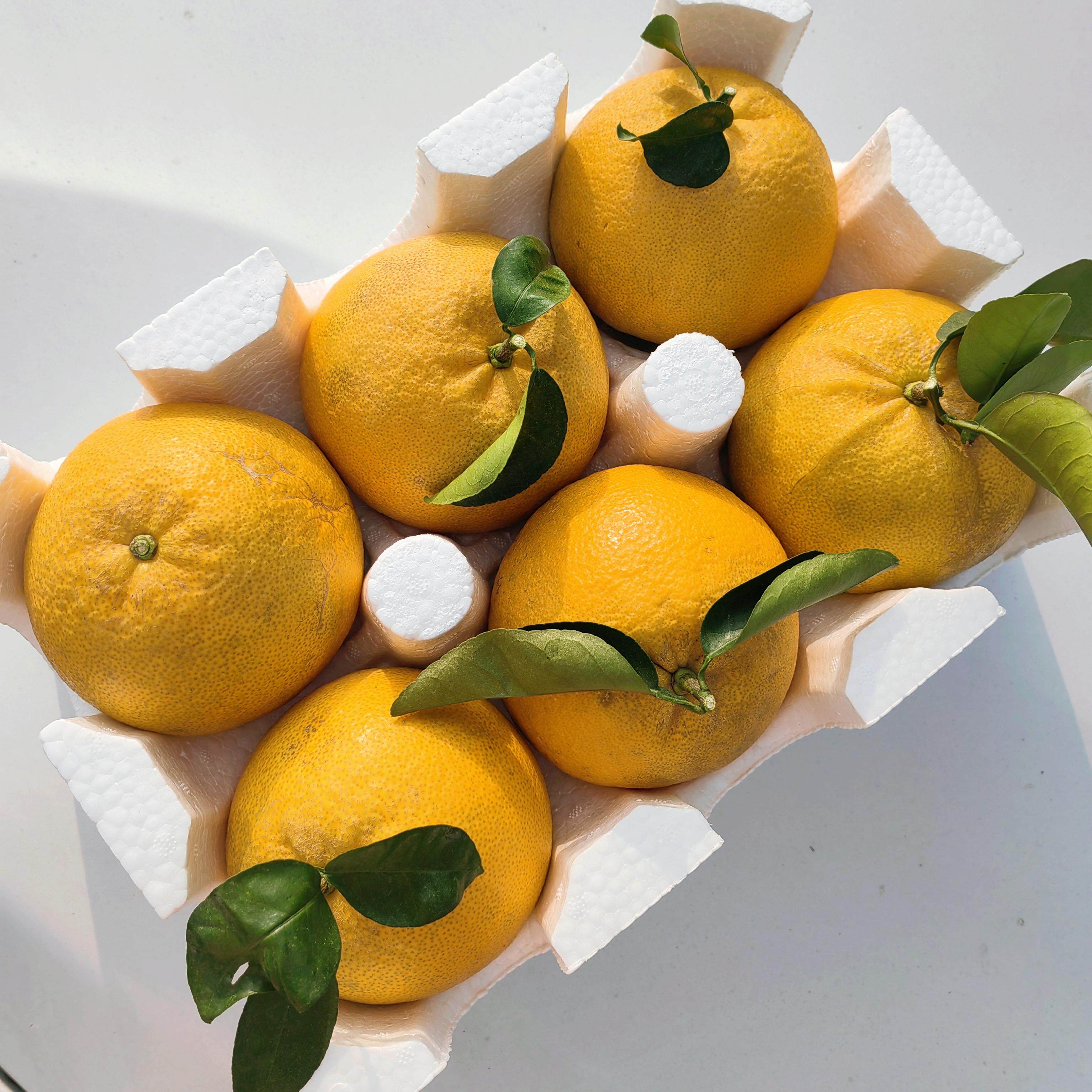 新鲜橙子,一口鲜甜!🍊🌿正宗温岭高橙,孕妇宝宝都爱吃的水果佳品-酒店-淘宝好物网