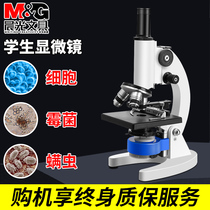 Chenguang optical microscope 10000 times home childrens science experiment middle school students 16000 biology students Junior High School electronic eyepiece professional convenient handheld high definition desktop mites