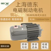 Shanghai Dedong electromagnetic brake motor YEJ Brake National Standard Motor 380V0 55KW-11KW brake motor