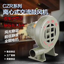 Small household 220V stove speed regulation high power blower cast iron hair dryer barbecue combustion blowing egg