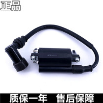 Suitable for Suzuki King GS diamond Leopard HJ125K Prince GN Rui Shuang EN125-2 high voltage package combination ignition coil