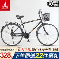 Shanghai Phoenix brand bicycle mens work riding adult students female Light City commuter bicycle