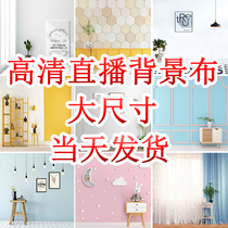 3d live broadcast large size background cloth decoration three-dimensional Wall Wall network red ins shooting Wall trembles indoor anchor room