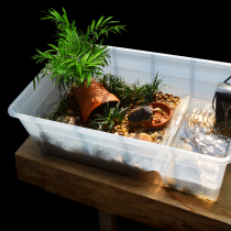 Special tank for yellow edge turtle Yellow edge closed-shell turtle Ambu semi-aquatic turtle Money turtle ecological breeding box landscaping cushion turtle pool