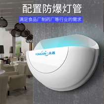 Yongxin mosquito repellent lamp restaurant fly extinguishing lamp fly commercial mosquito repellent lamp wall-mounted sticky mosquito killer artifact