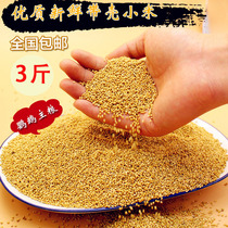 Bird food Shelled millet Yellow millet Bird food Bird food Wen Bird bird food Millet 3 kg