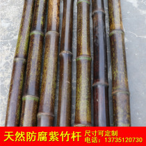 Purple bamboo pole 2 m decoration natural purple bamboo pole material suspended ceiling partition black bamboo 3 m fence fence fence