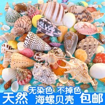 Conch shell starfish empty bottle material bag handmade diy wind chime perforated drifting bottle fish tank decoration hermit crab