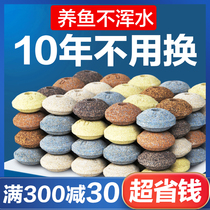 Fish tank filter material filter stone bacteria house water purification filter material nano quartz ball ceramic ring aquarium filter material