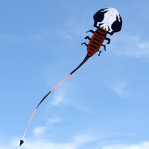 21-year new long-tailed scorpion kite mega-giant adult dedicated beginner good flying high-grade resin Rod