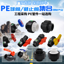 HDPE double-plastic steel core Ball Valve Globe Valve Full-plastic flexible conversion joint copper ball valve water pipe fittings